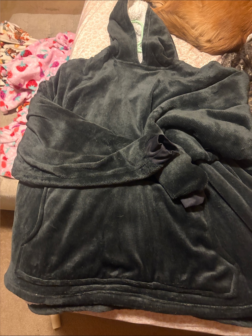 Cozy Plush Hooded Pullover in Dark Green